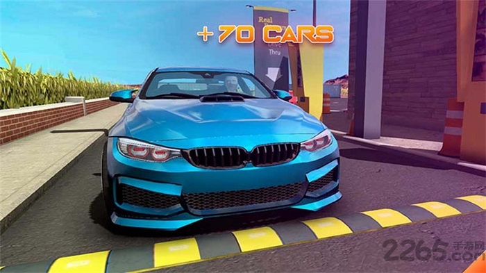 真实停车模拟器联机版