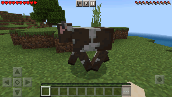 我的世界1.18基岩版手机官方版