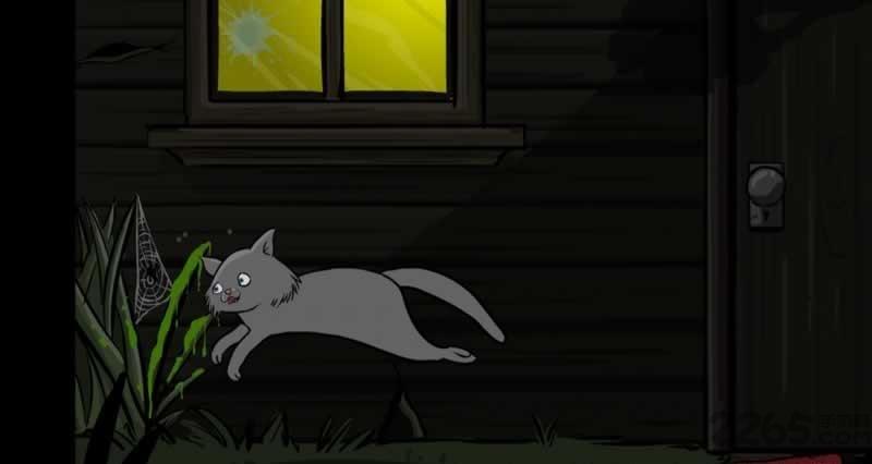 神秘访客手机版