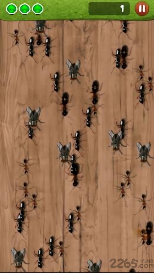 蚂蚁捣蛋游戏 蚂蚁捣蛋最新版下载