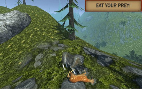 狼模拟进化（wolf simulator evolution）