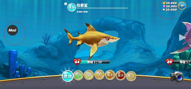 饥饿鲨世界破解版教程 饥饿鲨世界破解教程