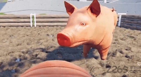 小猪模拟器破解版