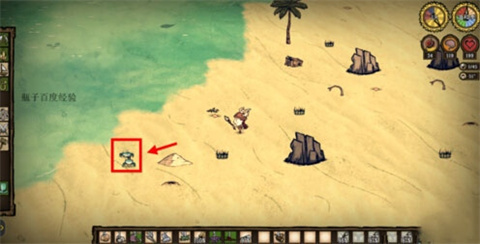 饥荒海滩怎么抓螃蟹 饥荒海滩抓螃蟹攻略