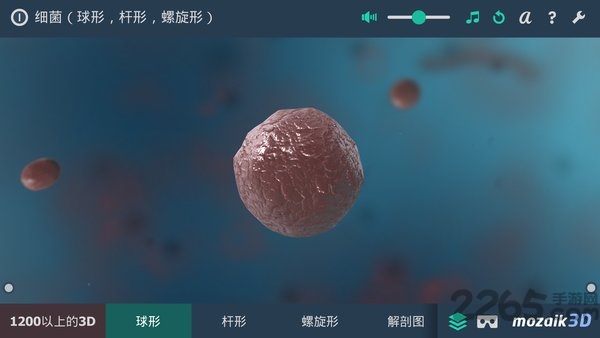 多样细菌立体分析软件