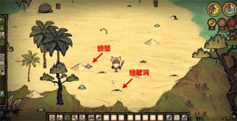 饥荒海滩怎么抓螃蟹 饥荒海滩抓螃蟹攻略