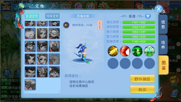 天书奇谈宠物系统如何升级 天书奇谈宠物系统攻略