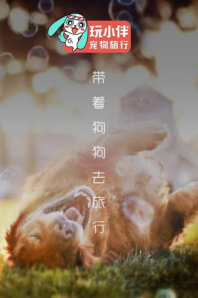 玩小伴宠物旅行
