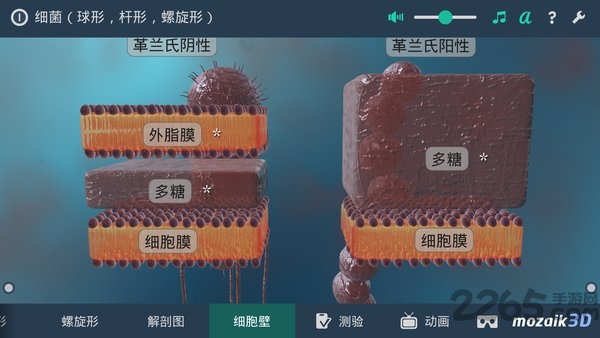 多样细菌立体分析软件