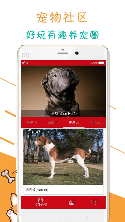 宠物狗狗百科安卓版 宠物狗狗百科app下载