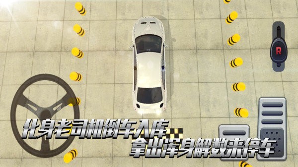 老司机考科目二游戏