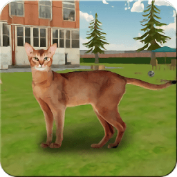 疯狂的猫与老鼠官网下载-疯狂的猫与老鼠最新版下载