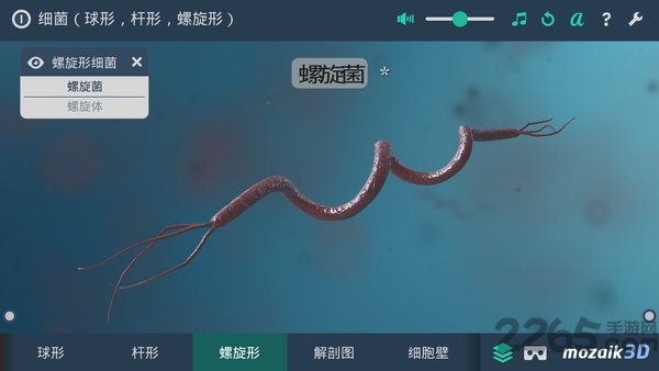 多样细菌立体分析软件 多样细菌立体分析手机版
