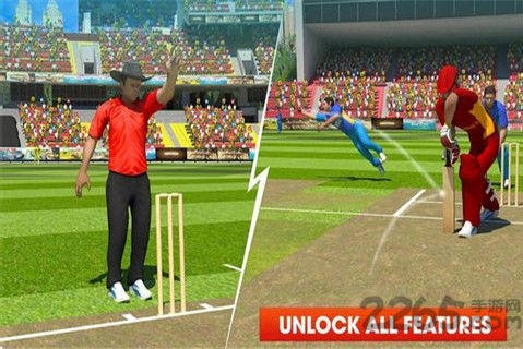 真实世界板球最新版