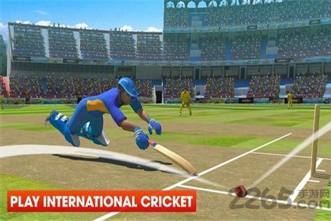 真实世界板球最新版