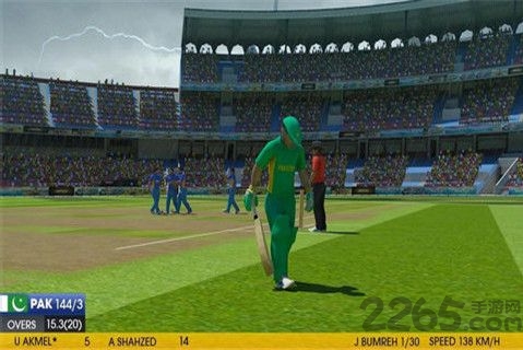 真实世界板球最新版