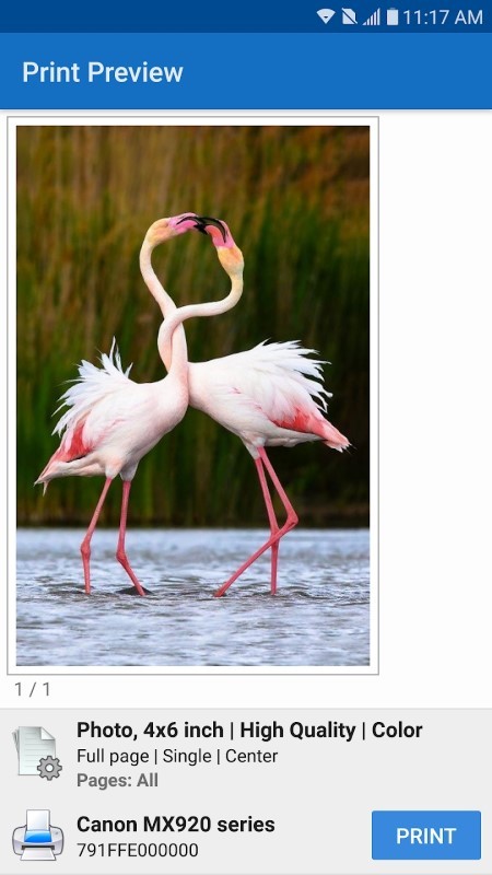 nokoprint软件最新版本 nokoprint手机打印中文版下载