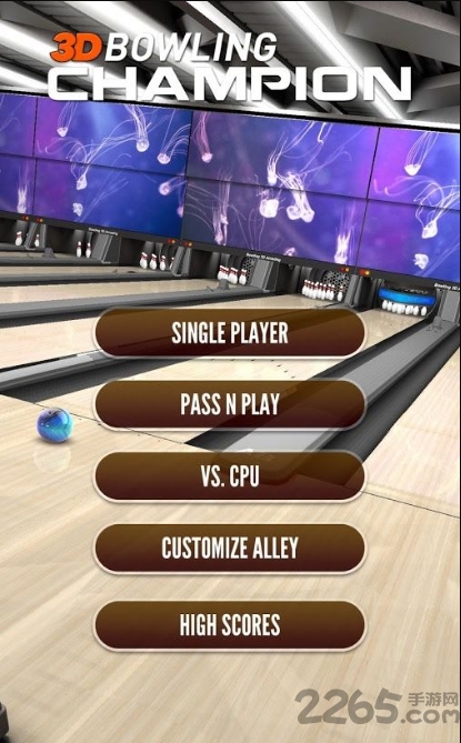 3d保龄球冠军手机版