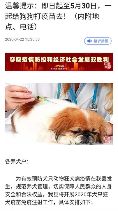 冀云肃宁客户端