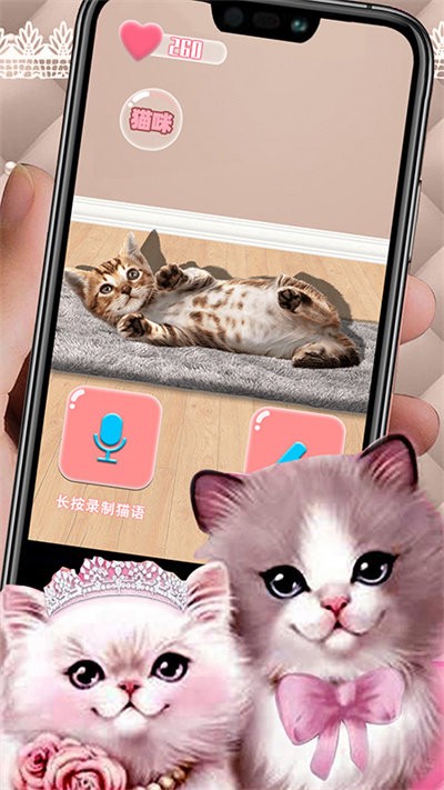 猫猫语言转换器app