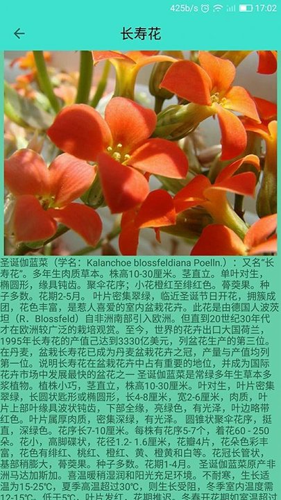 儿童识别植物大全