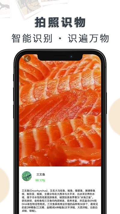 豆拍拍照识物app