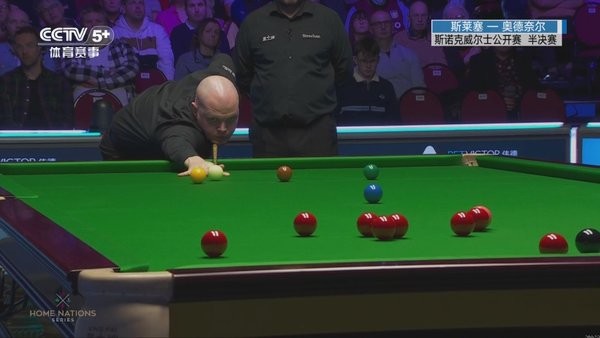 神仙电视tv版(神仙直播)