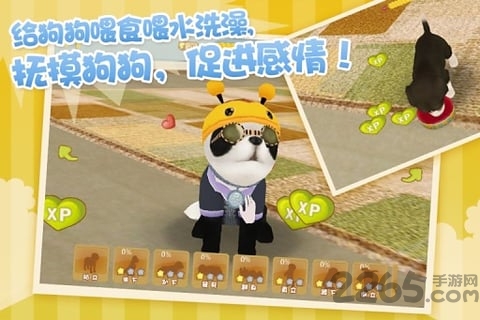 心动小狗伙伴无限钻石版