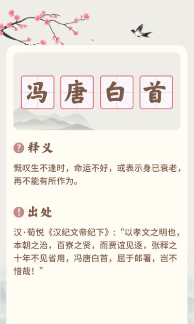 成语撞大运app