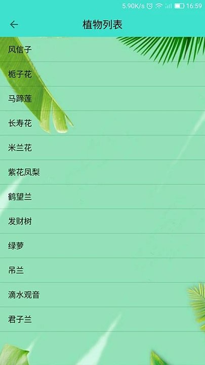 儿童识别植物大全