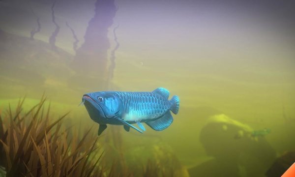 海底大猎杀2021手游下载中文版