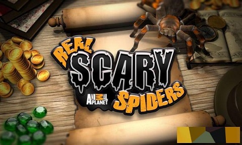 真正可怕的蜘蛛无限金币版