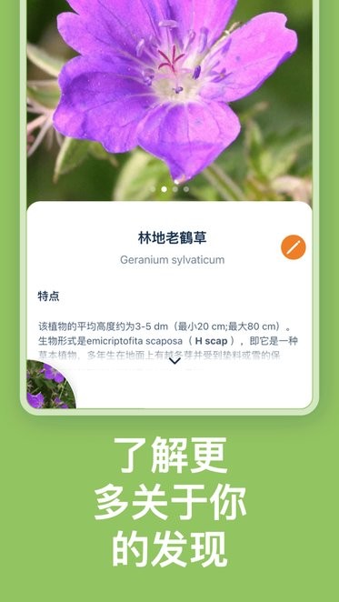 Flora Incognita 自动植物识别 Flora Incognita 应用下载