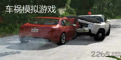 车祸模拟游戏