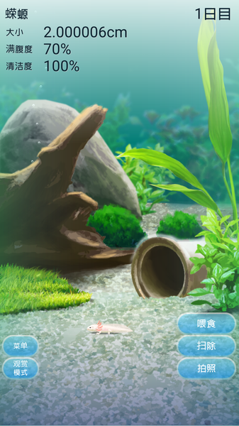 治愈的蝾螈育成