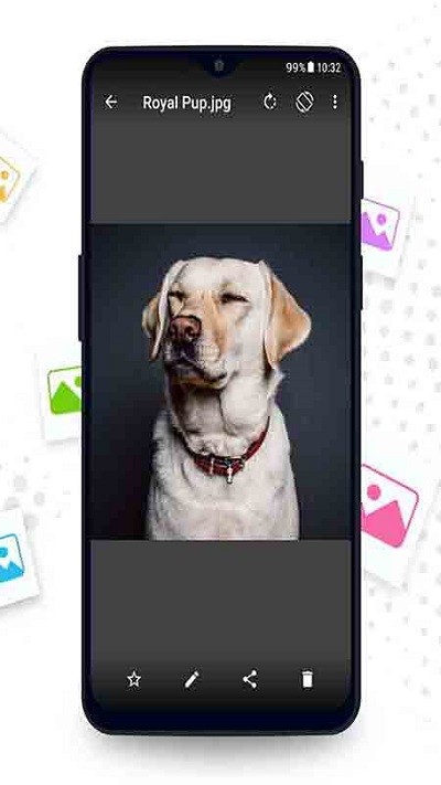 相册管理大师app