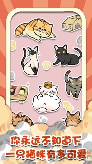 猫咪杂货物语游戏