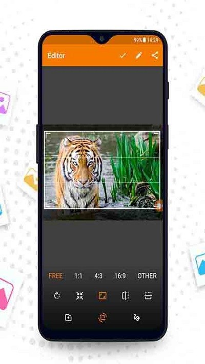 相册管理大师app