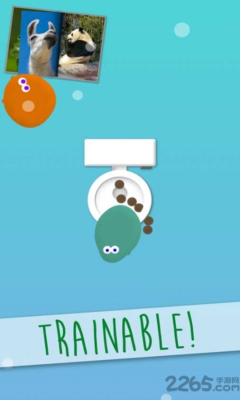 宠物变形虫中文版