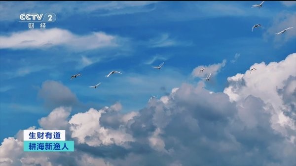 重温经典tv电视直播