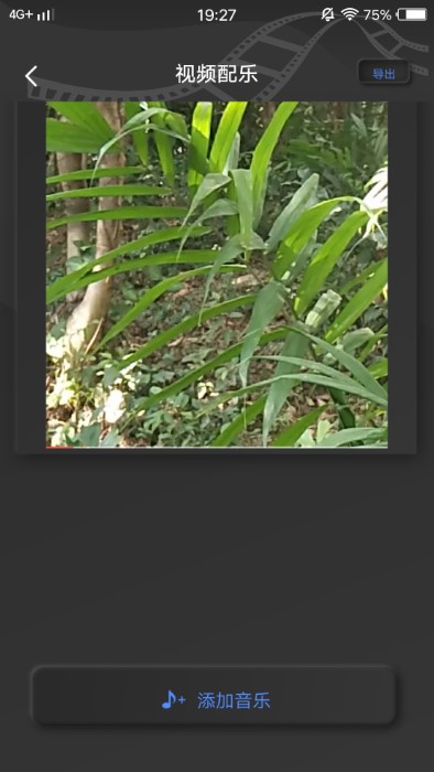 pre视频quel美化app(PREQUEL)