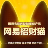 网易招财猫官方正版