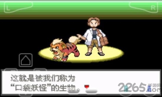 口袋妖怪暗之石无限金币版