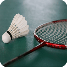 羽毛球之星游戏手机版