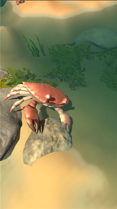 赶海之王手机版