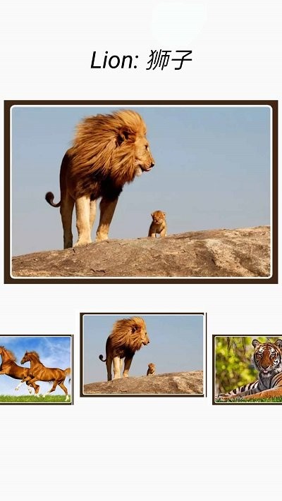 动物和声音软件