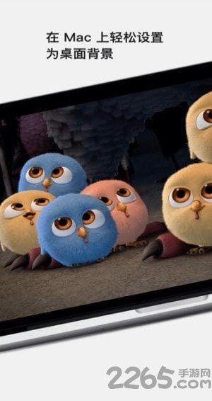 Movy高清壁纸客户端 Movy高清壁纸app