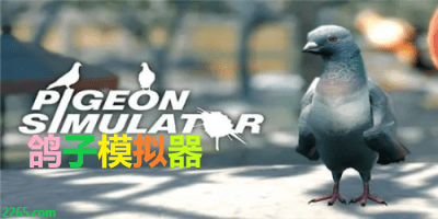 鸽子模拟器