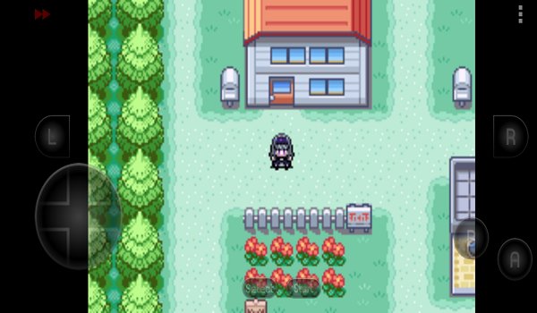 口袋妖怪究极之路游戏