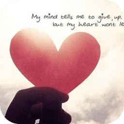 love主题动态壁纸锁屏手机版下载-最新版免费下载